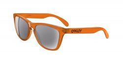 Oakley FROGSKINS LIMITED / COLLECTORS EDITION