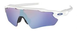 Oakley RADAR EV PATH OO9208-4738